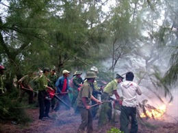 Triển khai công tác phòng chống cháy rừng 
